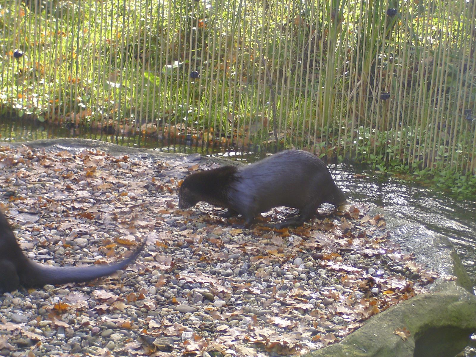 Zoom 18.10.08-068.jpg